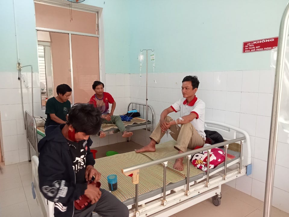 Ăn nấm lạ, 5 người ở Quảng Nam nhập viện