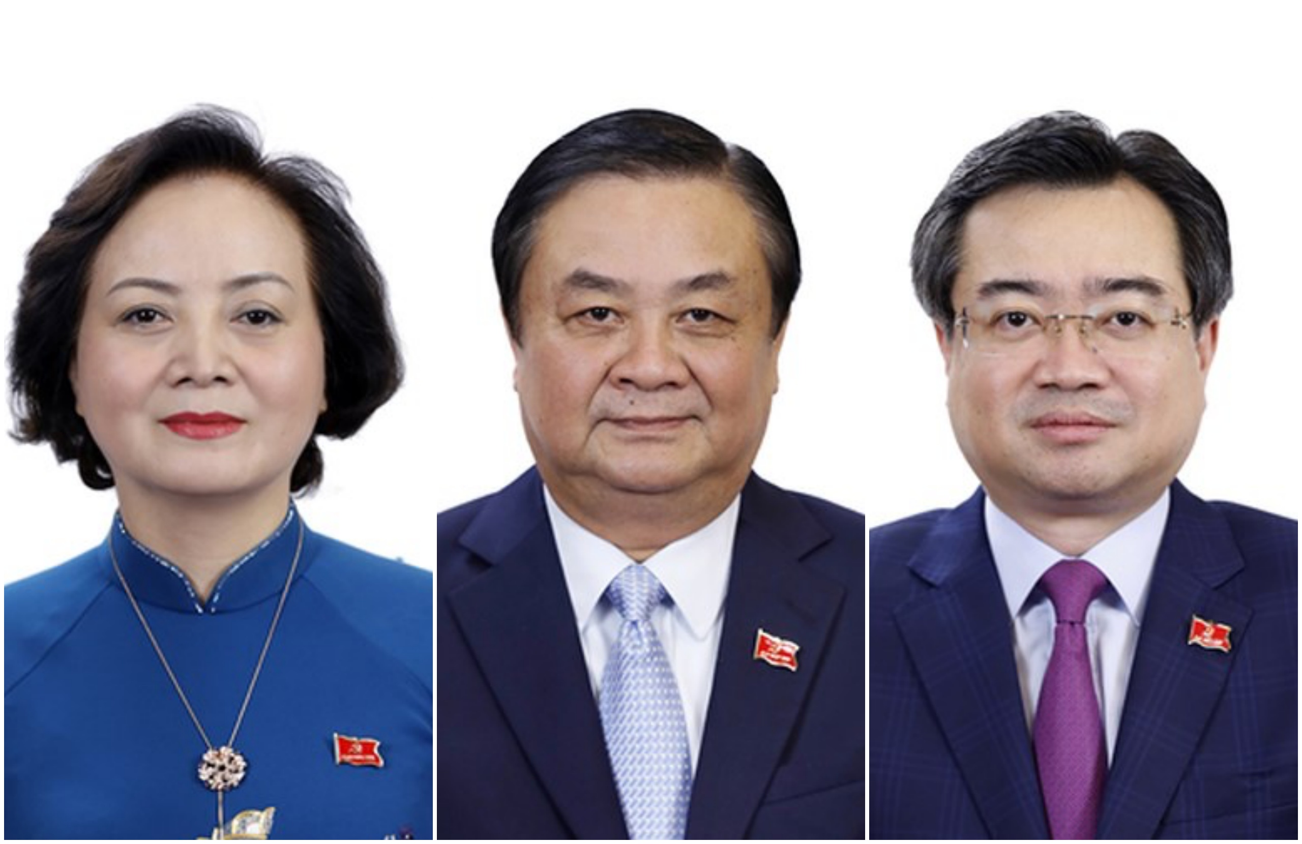 Ph&ecirc; chuẩn bổ nhiệm 2 Ph&oacute; Thủ tướng v&agrave; 12 Bộ trưởng, trưởng ng&agrave;nh mới - Ảnh 5.