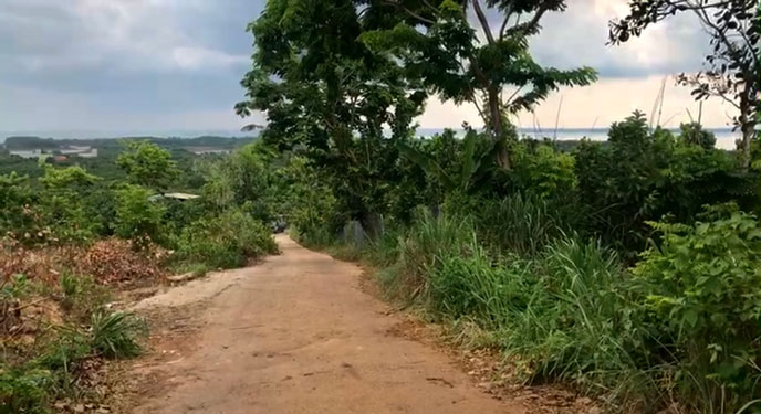 Bất động sản vùng ven bớt chộn rộn