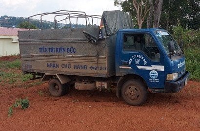 Trộm 3 con bò rồi… thuê xe tải chở đi tiêu thụ