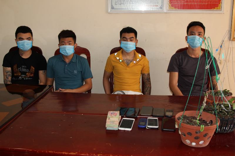 Bắt ổ nhóm bán lan "đột biến" giả chiếm đoạt 3,5 tỉ đồng
