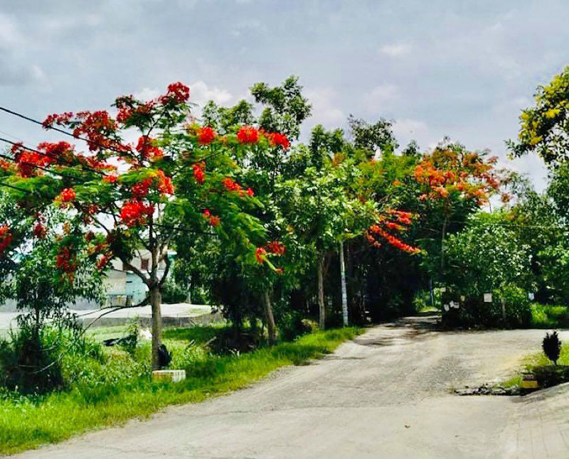 Chồng mỉa mai: 'Rời tôi ra cô làm sao sống nổi'