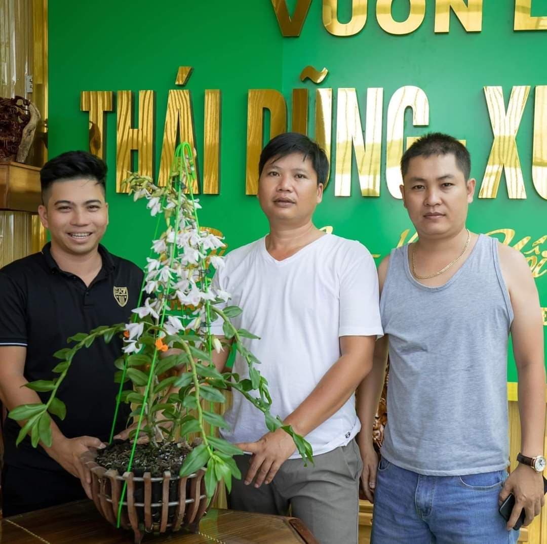 Ông chủ vườn lan Hữu Xướng chia sẻ bí quyết trồng lan thành công