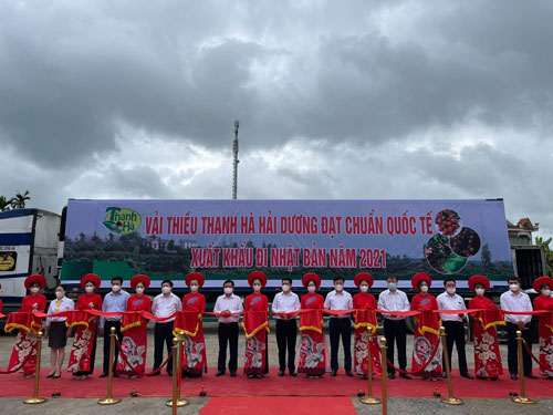 Cam kết hỗ trợ tiêu thụ vải thiều