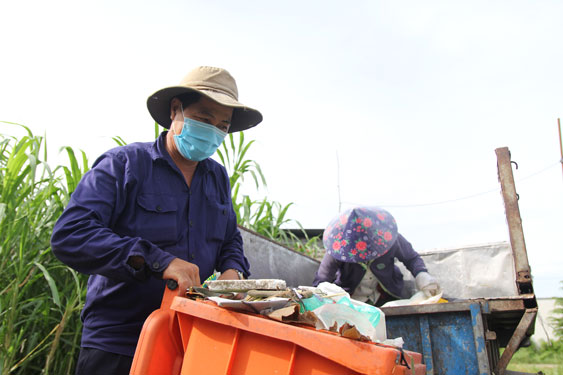 Nghịch lý thu gom rác - Ảnh 1.
