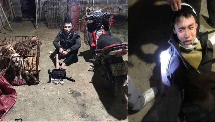 Phá băng trộm chó "khét tiếng" gây náo loạn ở Quảng Bình