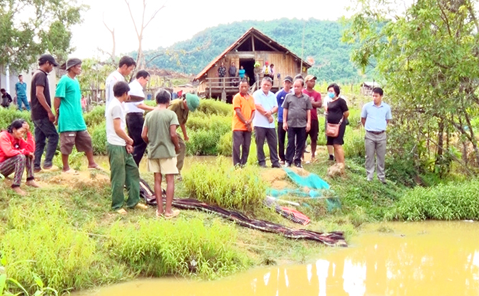 Tắm ở hồ cá nhà ông ngoại, 3 trẻ đuối nước thương tâm