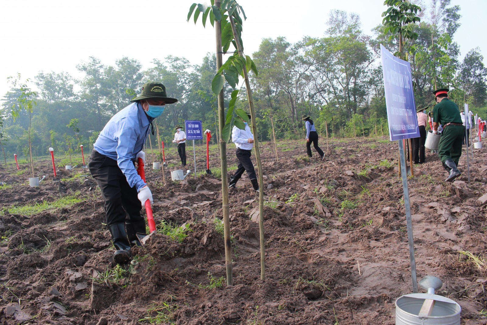 Bình Dương phát động trồng hơn 100.000 cây xanh trong năm 2021