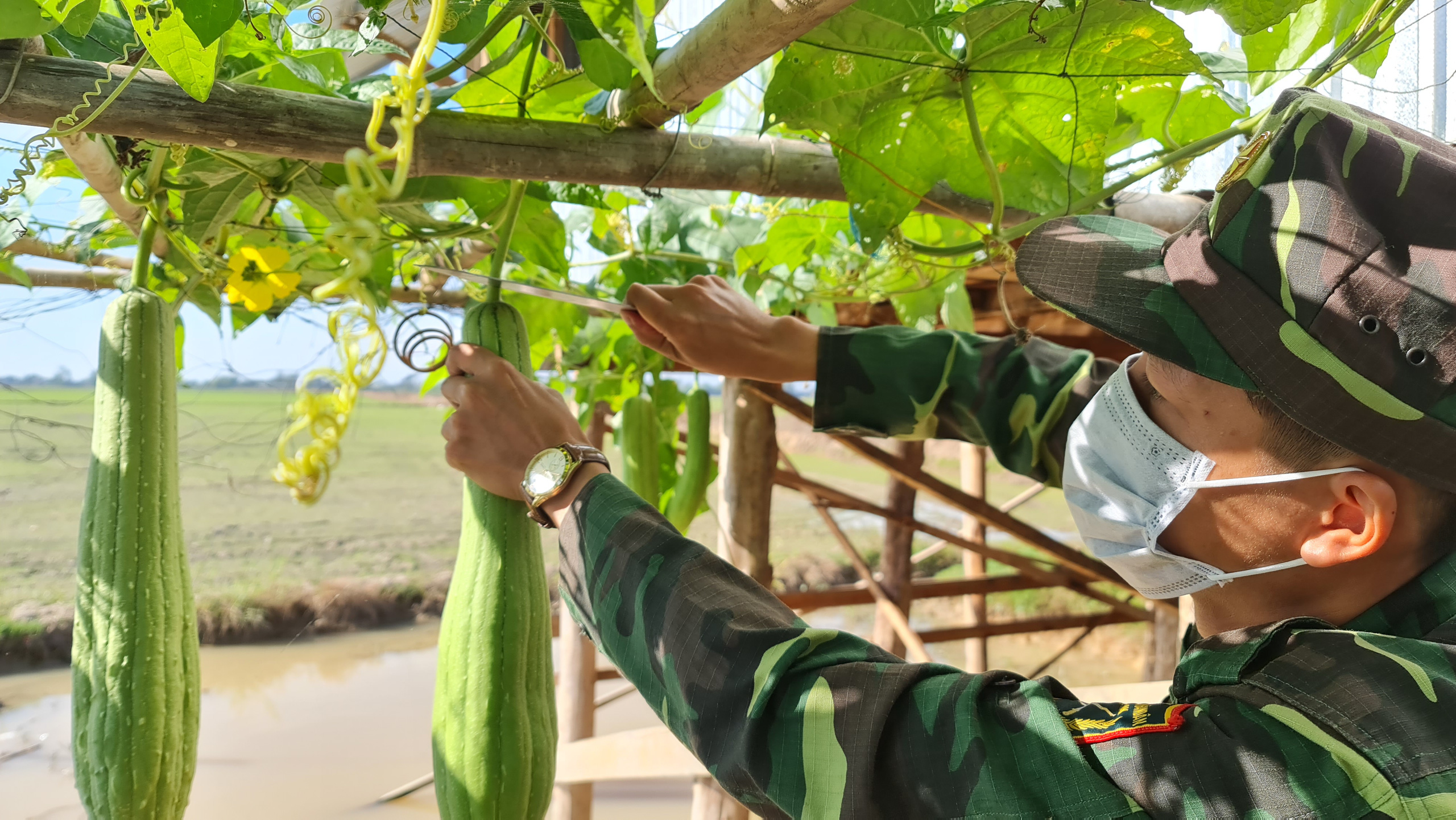 Những h&igrave;nh ảnh gian khổ, hy sinh nơi bi&ecirc;n cương Tổ quốc - Ảnh 14.