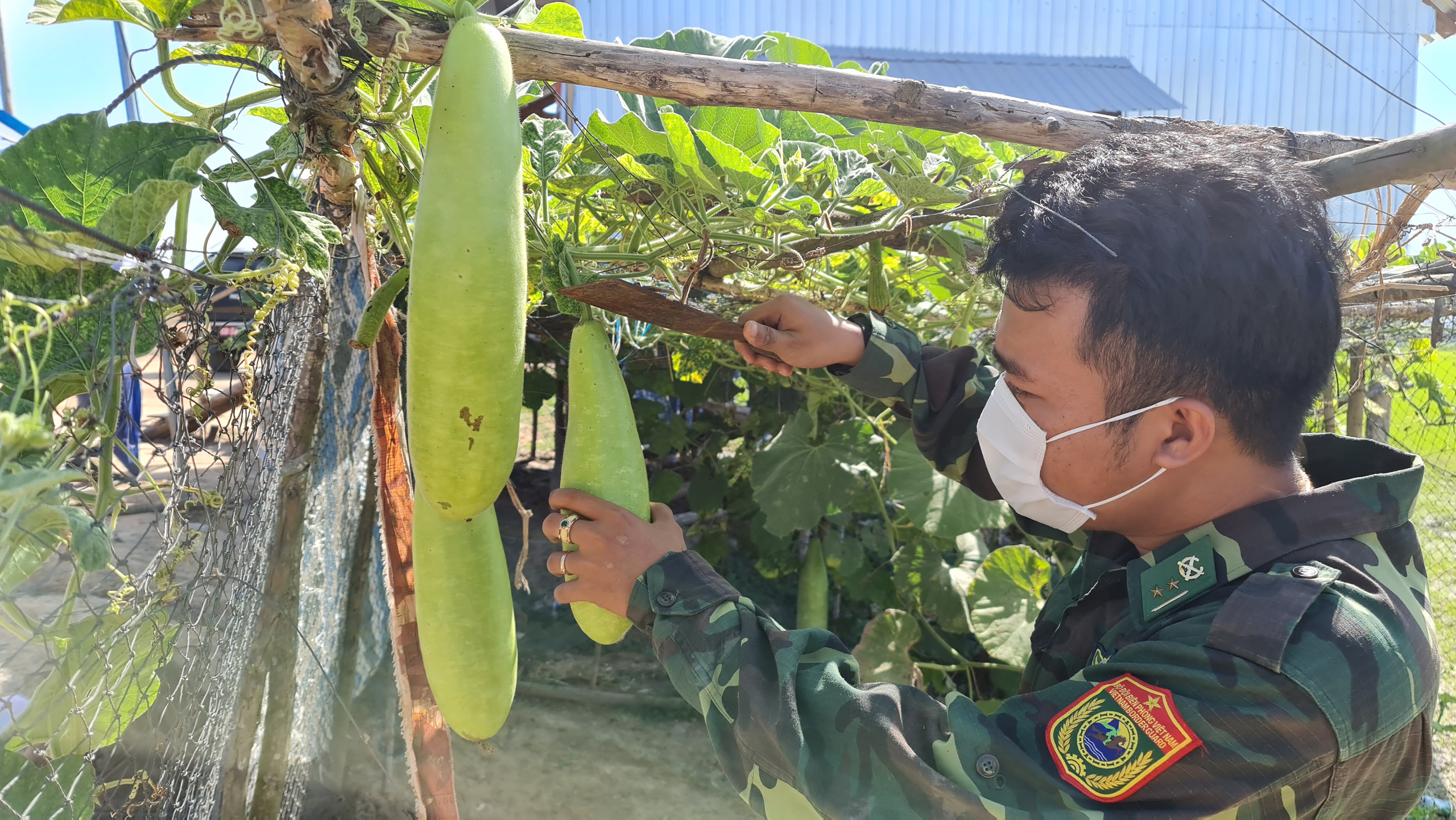 Những h&igrave;nh ảnh gian khổ, hy sinh nơi bi&ecirc;n cương Tổ quốc - Ảnh 15.