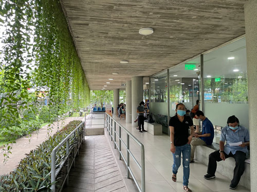 Kỳ tích ở vùng ven TP HCM