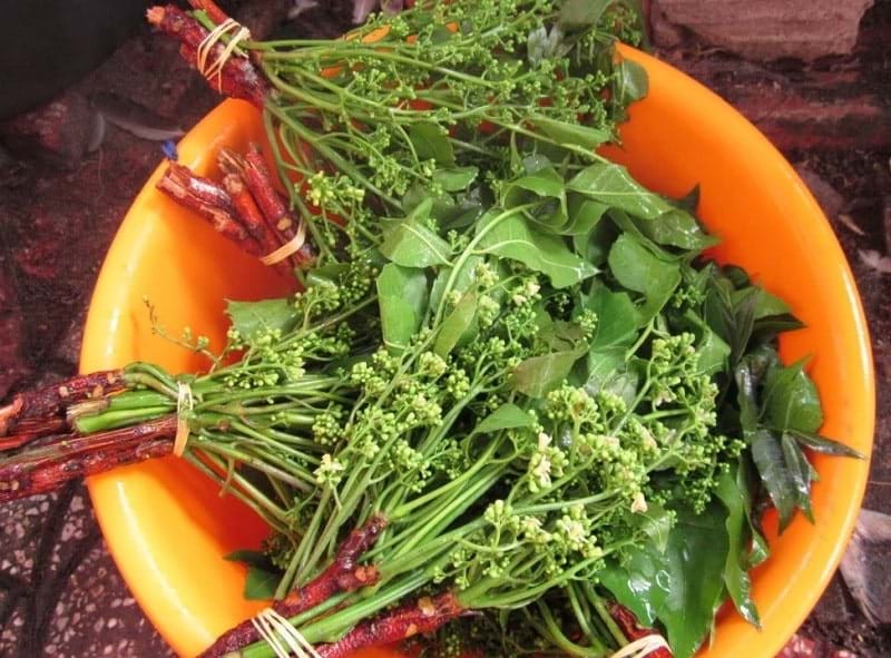 Ăn cơm nh&agrave; mẹ vợ - Ảnh 1.