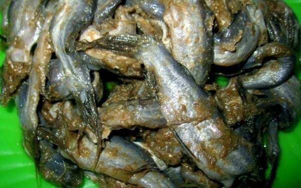 Ăn cơm nh&agrave; mẹ vợ - Ảnh 2.
