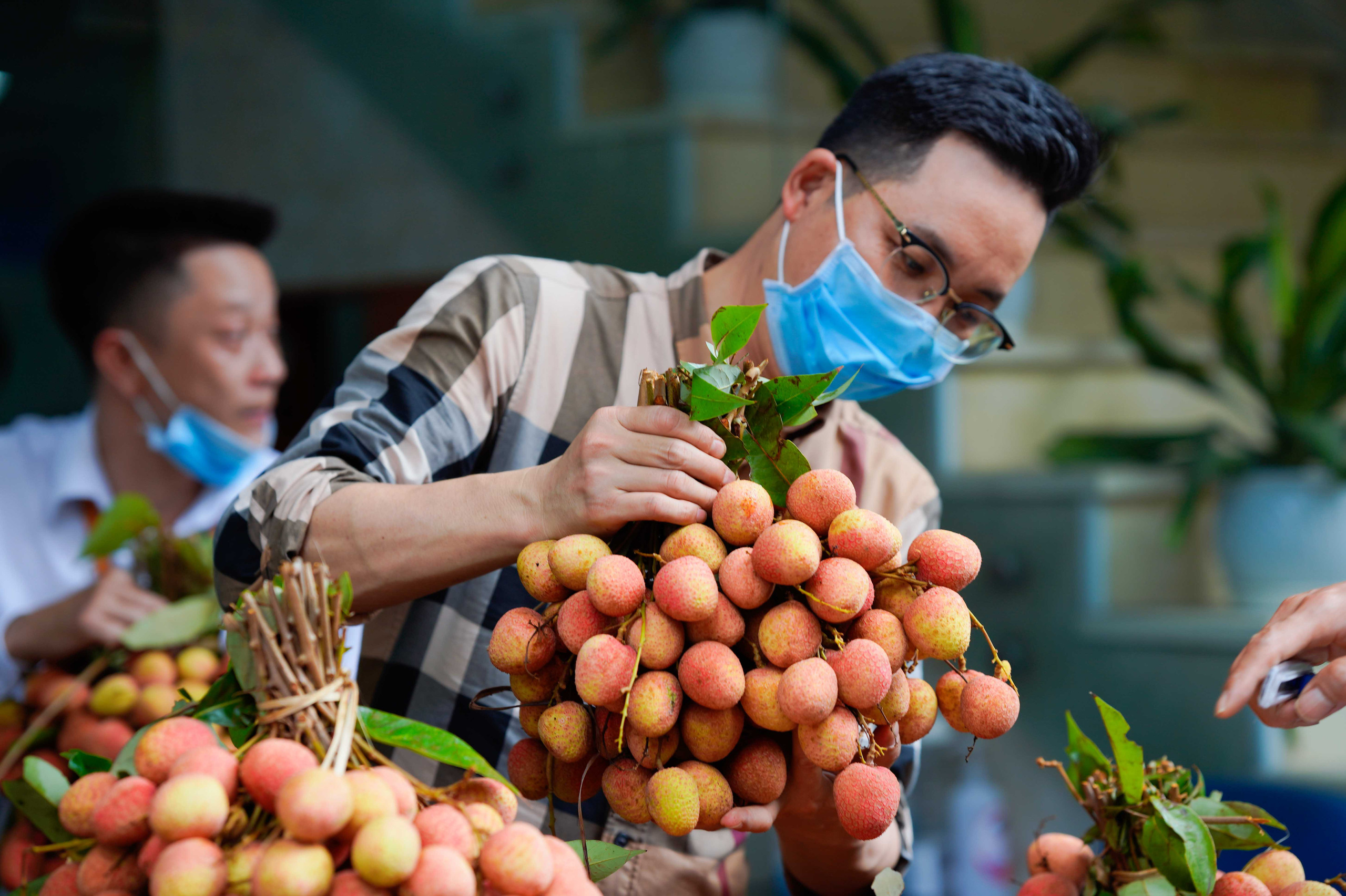 Đội nắng, xếp h&agrave;ng mua vải ủng hộ n&ocirc;ng d&acirc;n Bắc Giang - Ảnh 7.