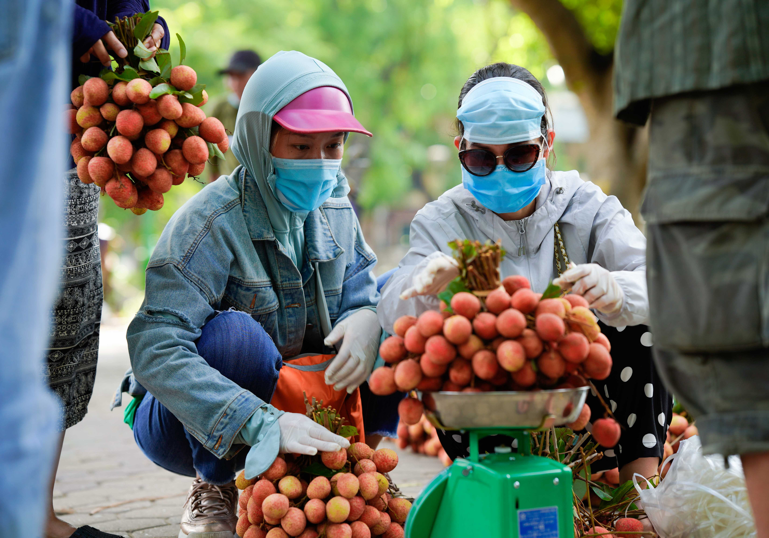 Đội nắng, xếp h&agrave;ng mua vải ủng hộ n&ocirc;ng d&acirc;n Bắc Giang - Ảnh 11.