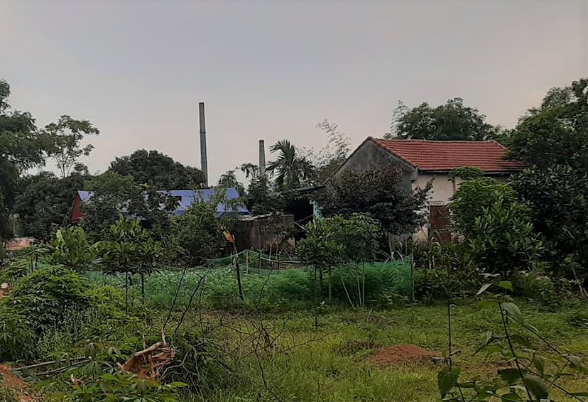 Can ngăn đ&aacute;nh nhau, ch&uacute; bị ch&aacute;u ruột nổ s&uacute;ng bắn chết - Ảnh 1.