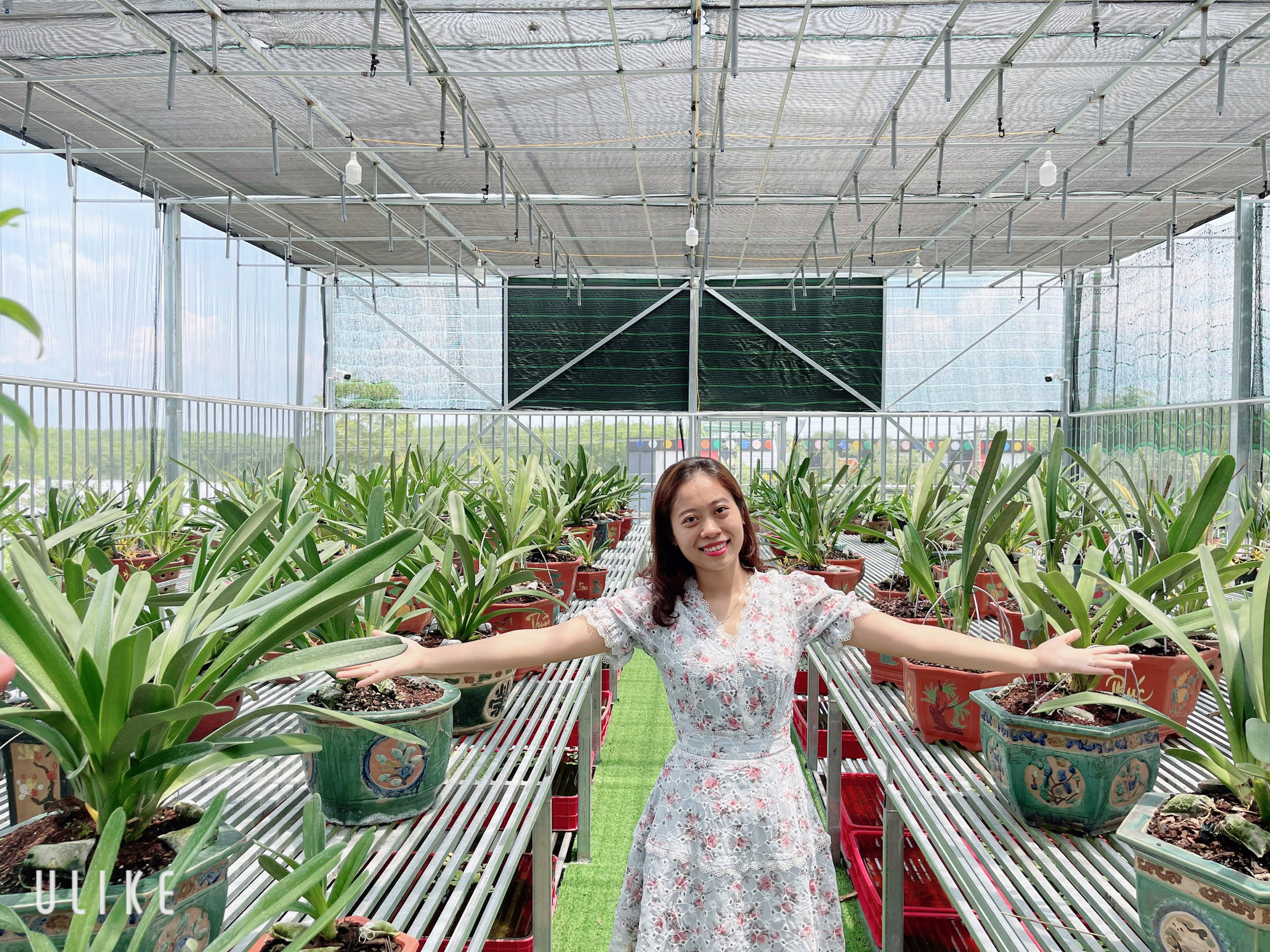 B&agrave; chủ vườn lan trăm lo&agrave;i Th&ugrave;y Linh chia sẻ b&iacute; quyết trồng lan - Ảnh 2.