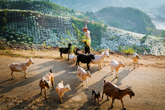 Cuộc thi ảnh&ldquo;N&eacute;t đẹp lao động&rdquo; lần 3 năm 2020-2021: Ươm mầm cho m&agrave;u xanh hy vọng - Ảnh 2.