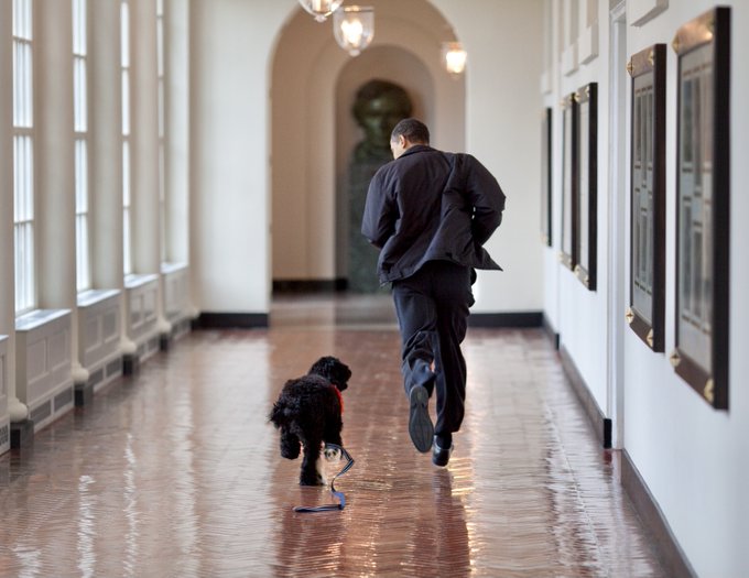 &Ocirc;ng Obama th&ocirc;ng b&aacute;o sự ra đi của ng&ocirc;i sao Nh&agrave; Trắng - Ảnh 1.