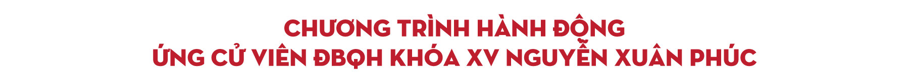 Ông Nguyễn Xuân Phúc: Nỗ lực hết mình phụng sự đất nước, phục vụ Nhân dân - Ảnh 2.