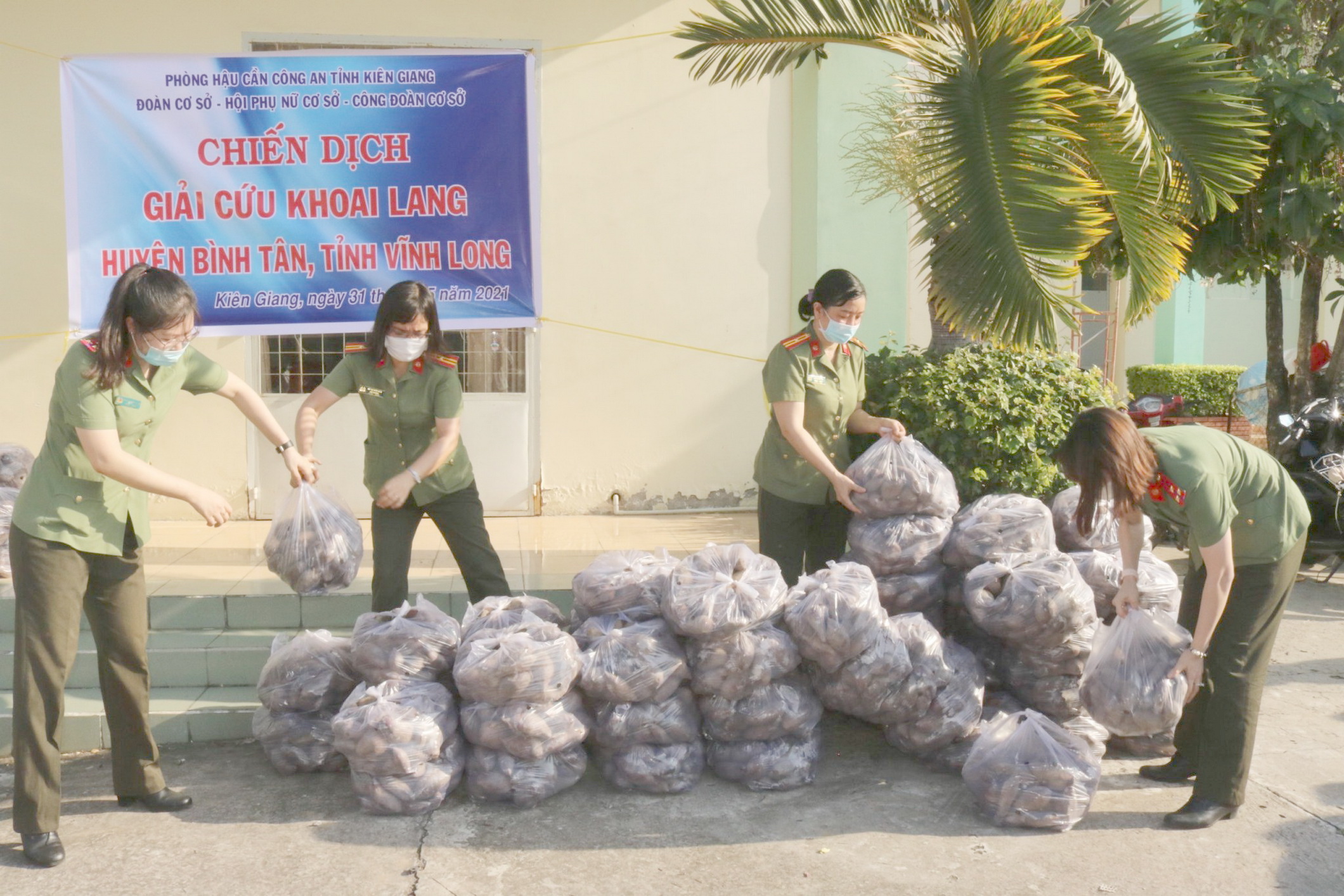 C&ocirc;ng an Ki&ecirc;n Giang chạy xe m&aacute;y giải cứu khoai lang gi&uacute;p n&ocirc;ng d&acirc;n Vĩnh Long - Ảnh 2.