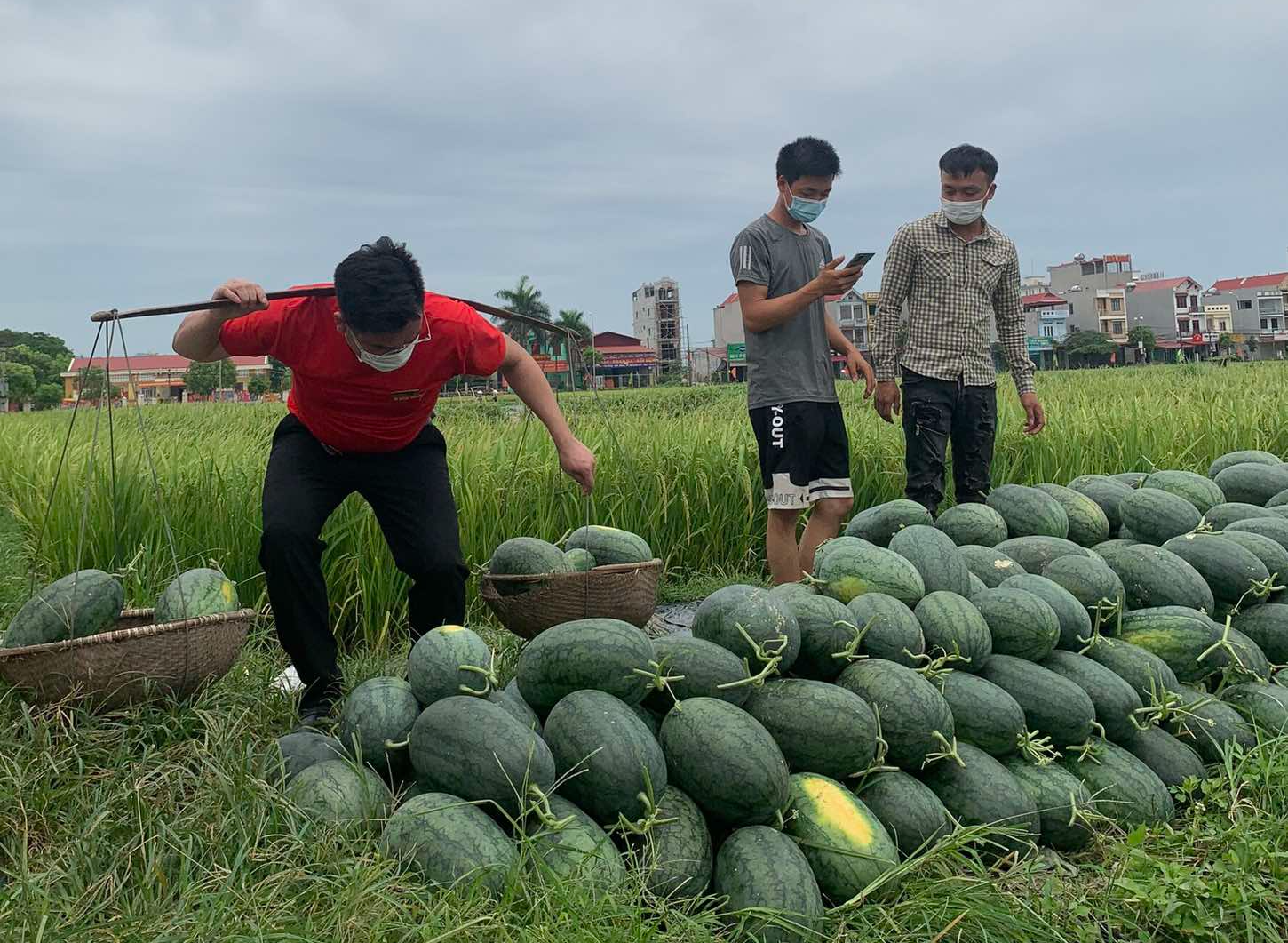 “Giải cứu” dưa hấu thành nước ép bổ sung năng lượng cho “chiến sĩ áo trắng” tại Bắc Giang