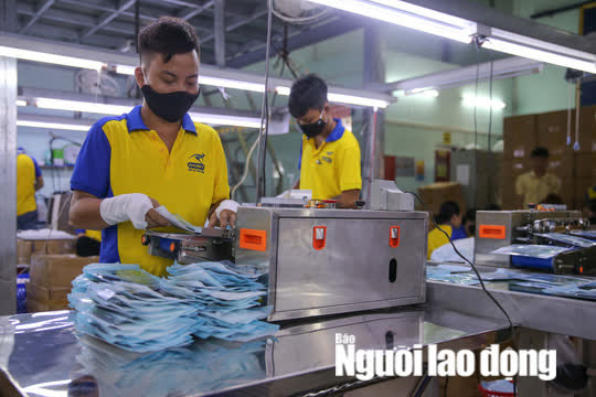 Đề xuất giảm 50% mức hưởng nếu r&uacute;t bảo hiểm x&atilde; hội một lần c&oacute; hợp l&yacute;? - Ảnh 1.