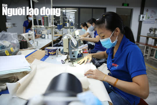 Đề xuất giảm 50% mức hưởng nếu r&uacute;t bảo hiểm x&atilde; hội một lần c&oacute; hợp l&yacute;? - Ảnh 4.