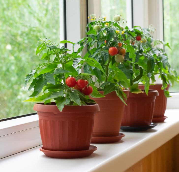 Cách tạo khu vườn bên cửa sổ