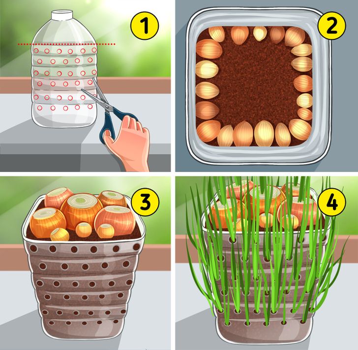 Cách tạo khu vườn bên cửa sổ - Ảnh 5.