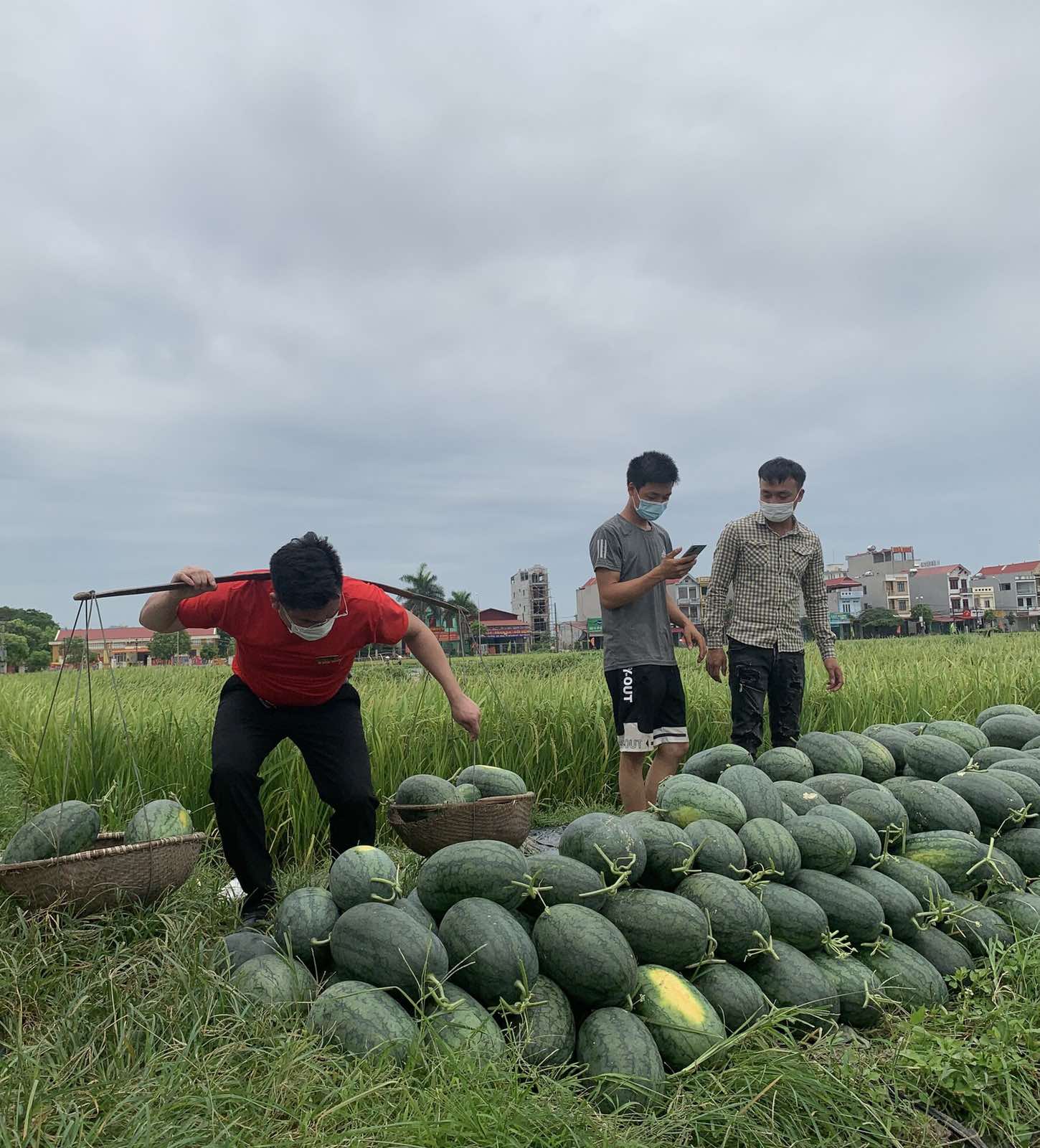 &ldquo;Giải cứu&rdquo; dưa hấu th&agrave;nh nước &eacute;p bổ sung năng lượng cho &ldquo;chiến sĩ &aacute;o trắng&rdquo; tại Bắc Giang - Ảnh 1.