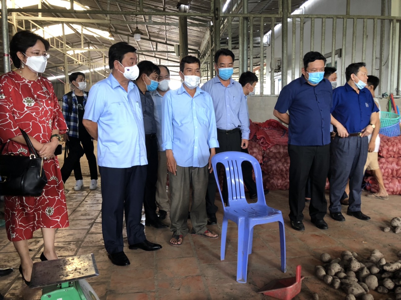 Bộ trưởng Lê Minh Hoan thị sát vùng trồng khoai lang tím ở Vĩnh Long