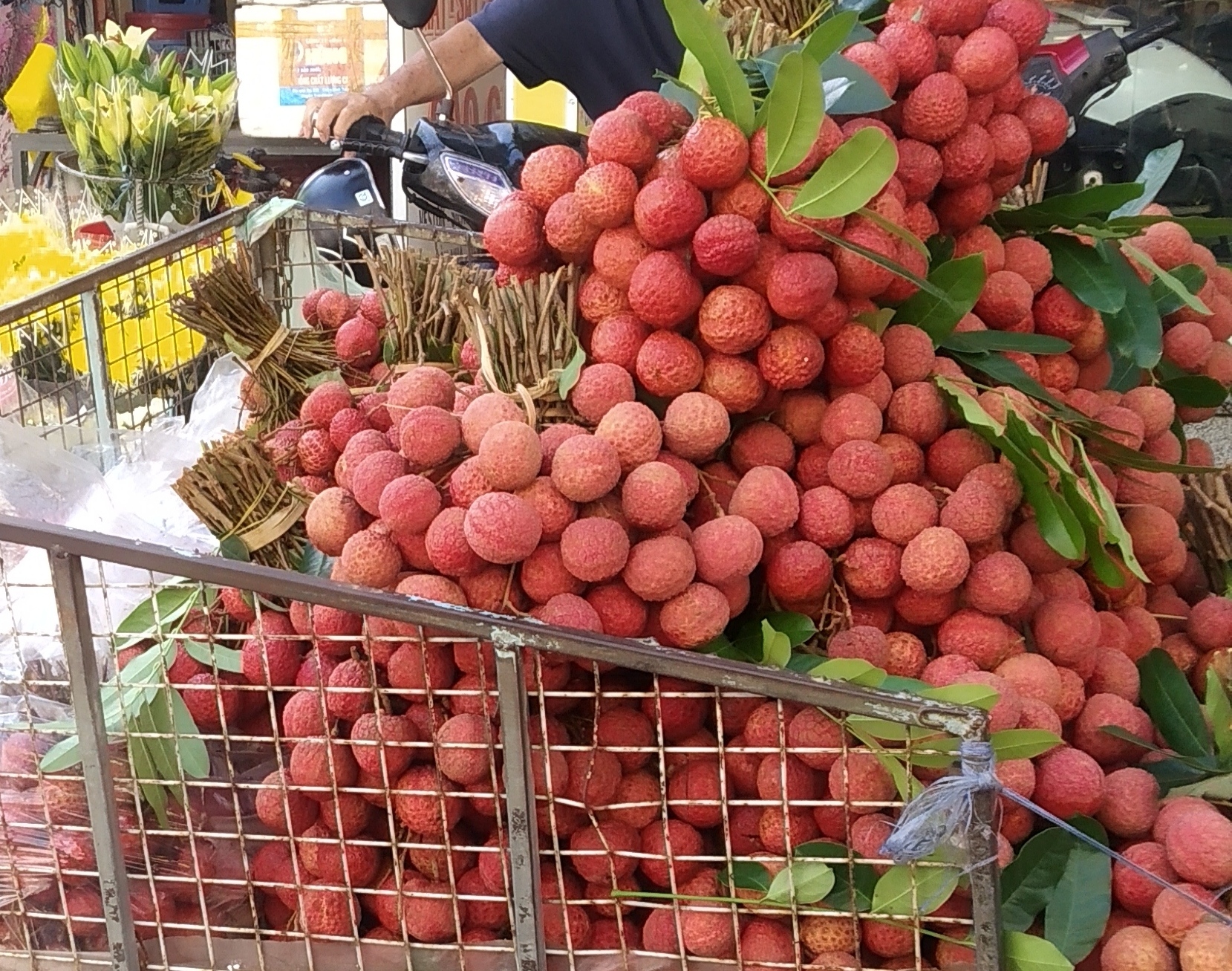 Vải thiều tràn ngập thị trường trái cây TP HCM