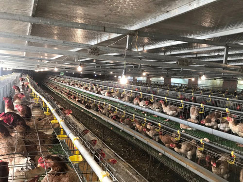 Giải ph&aacute;p kiểm so&aacute;t tiểu kh&iacute; hậu - Ảnh 1.