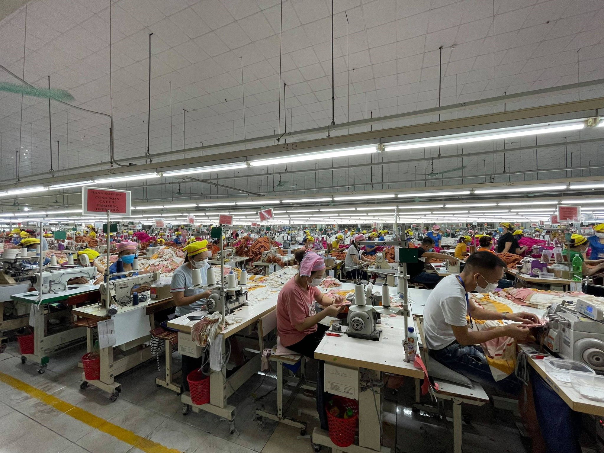 Đồng &yacute; đề xuất miễn đ&oacute;ng BHYT 8 th&aacute;ng cho người lao động, doanh nghiệp  - Ảnh 1.