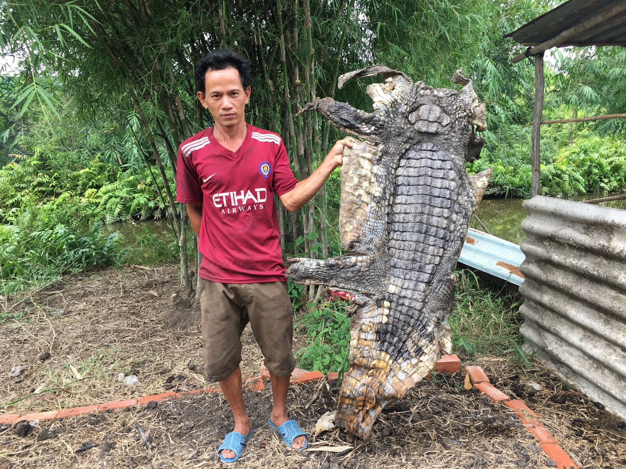 "Có khả năng một số người đã thả cá sấu ra ngoài tự nhiên"
