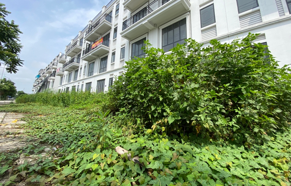 Biệt thự h&agrave;ng chục tỉ đồng bỏ hoang nhiều năm ở H&agrave; Nội - Ảnh 10.