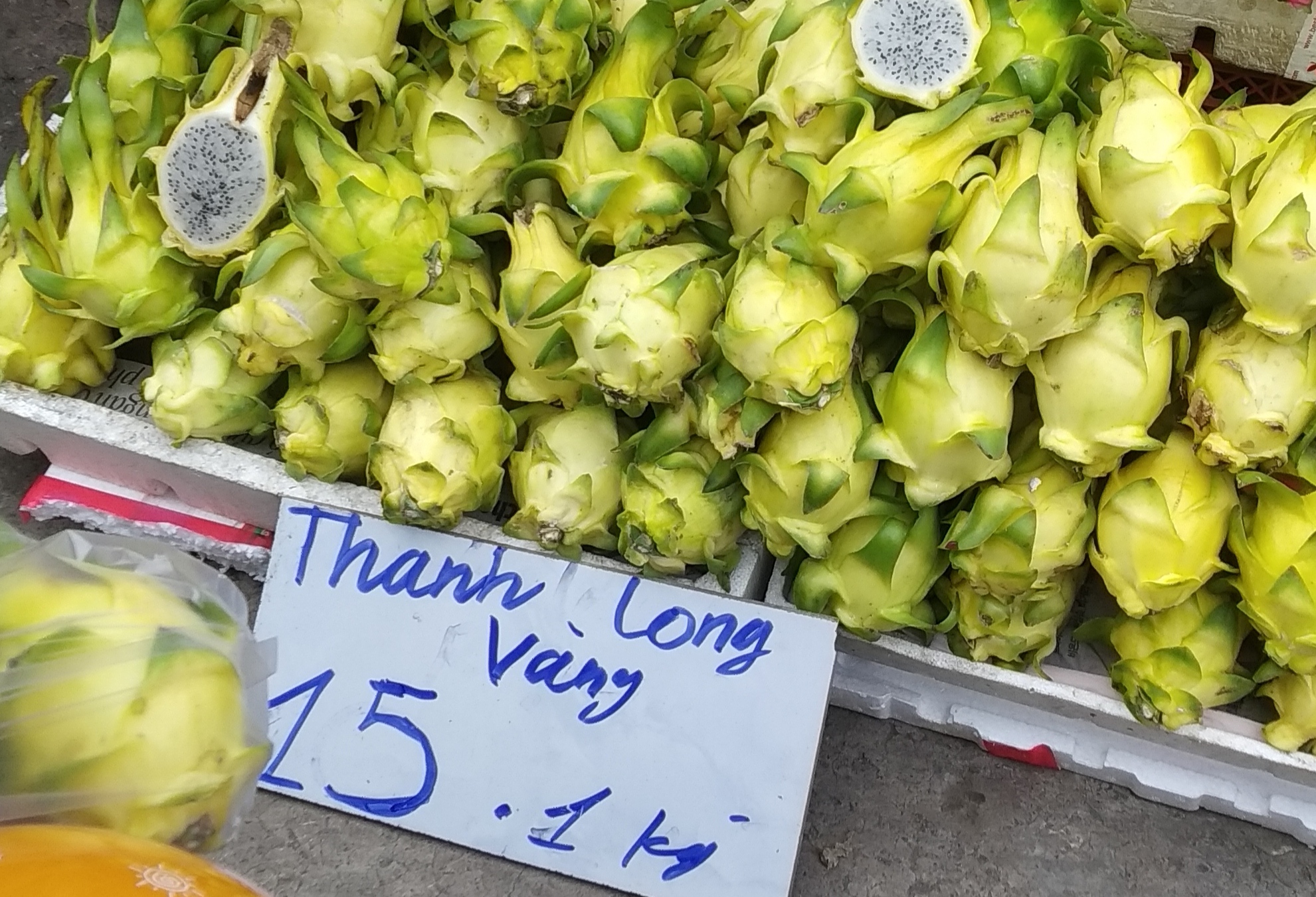 Vì sao thanh long vàng độc - lạ nhưng vẫn rớt giá thảm hại?