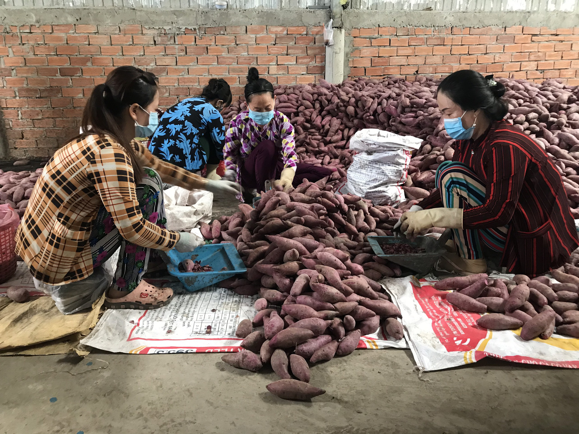Chăm lo "trụ đỡ" nông nghiệp