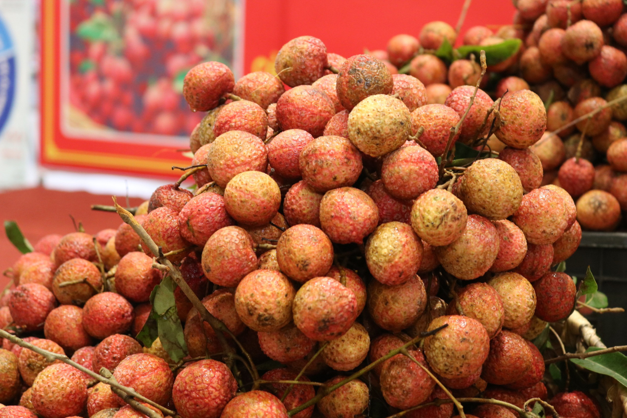 Cần Thơ ph&aacute;t động ti&ecirc;u thụ vải thiều gi&uacute;p n&ocirc;ng d&acirc;n Bắc Giang - Ảnh 3.