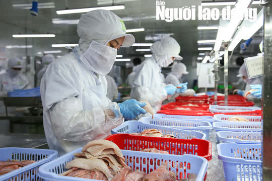 Đề xuất giảm 50% mức hưởng nếu rút bảo hiểm xã hội  một lần: Phải sòng phẳng với người lao động