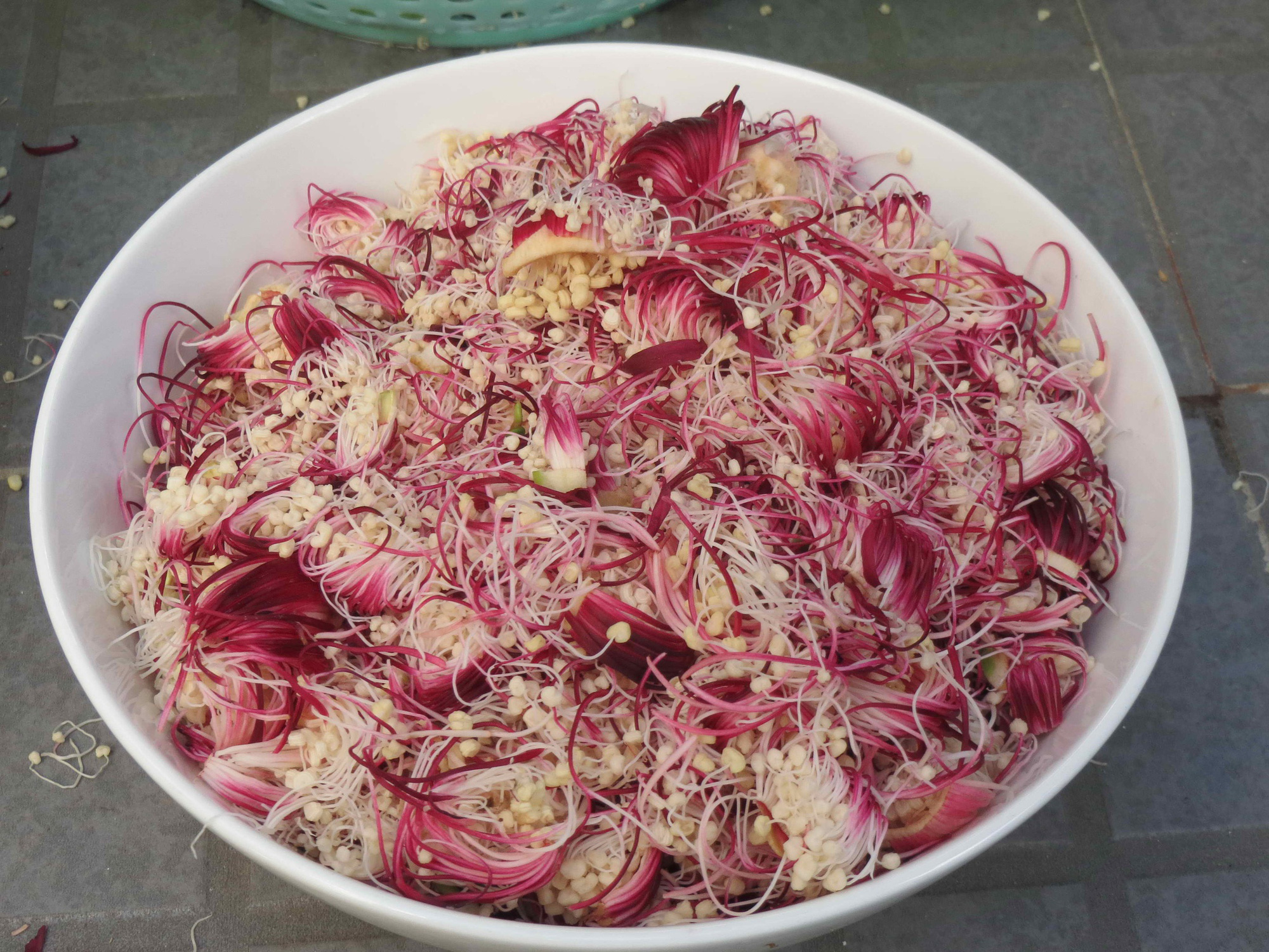 Gỏi gà bông bần