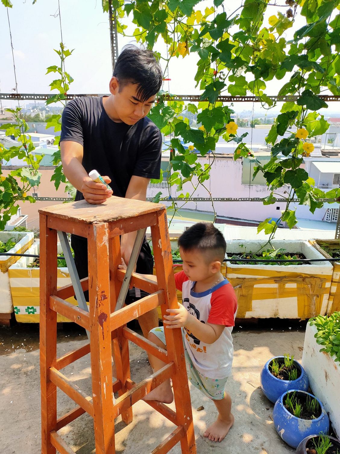 Vườn s&acirc;n thượng h&agrave;ng trăm c&acirc;y ăn quả - Ảnh 6.