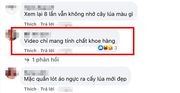 Mặc bikini ưỡn ẹo tr&ecirc;n đồng - Ảnh 15.