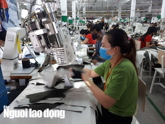 Cơ sở nào đề xuất giảm 50% mức hưởng nếu người lao động rút bảo hiểm xã hội một lần?