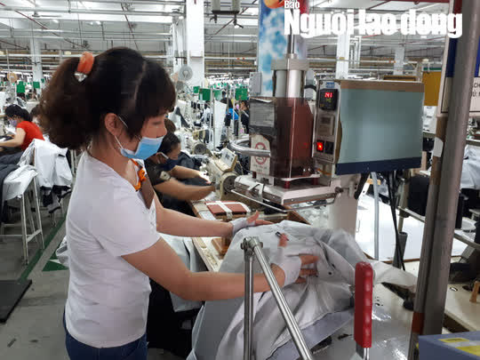 Cơ sở n&agrave;o đề xuất giảm 50% mức hưởng nếu người lao động r&uacute;t bảo hiểm x&atilde; hội một lần?  - Ảnh 2.