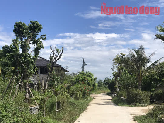 Chủ dự án Go Green Farm làm liều xây gần 20 căn nhà không phép - Ảnh 9.