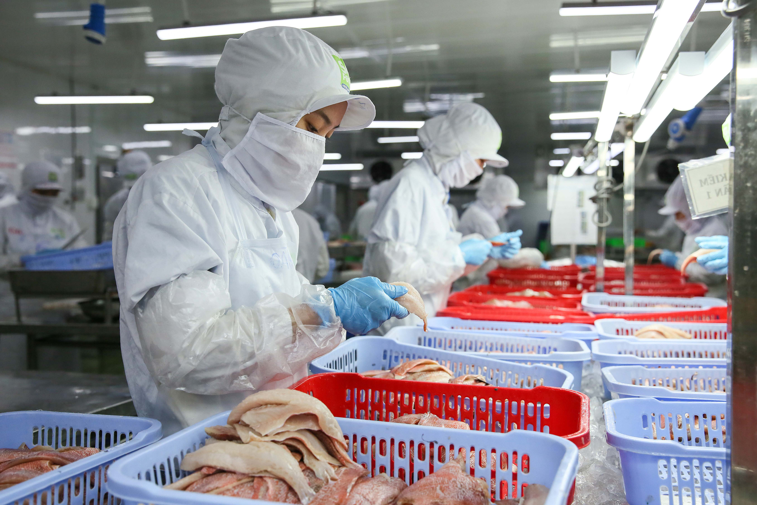 Đề xuất nới lỏng điều kiện tạm dừng đóng quỹ hưu trí, tử tuất - Ảnh 1.