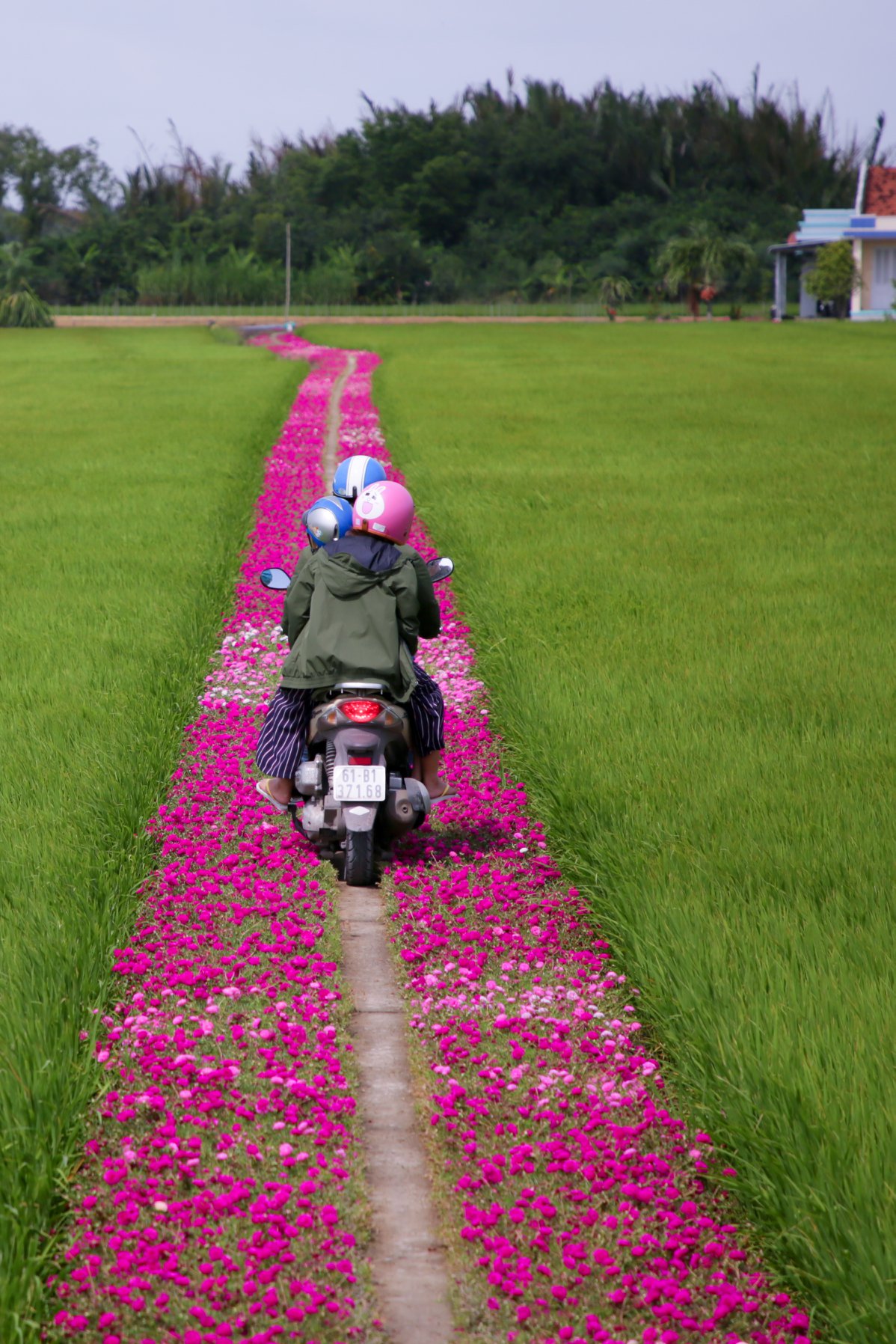 Đôi bạn đồng hành hơn 100 chuyến du lịch suốt 7 năm - Ảnh 13.