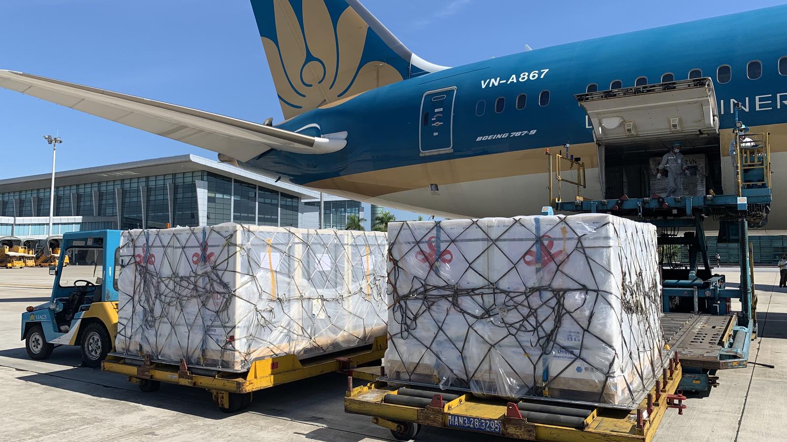 Lô 500.000 liều vắc-xin Covid-19 do Trung Quốc viện trợ về Hà Nội - Ảnh 3.